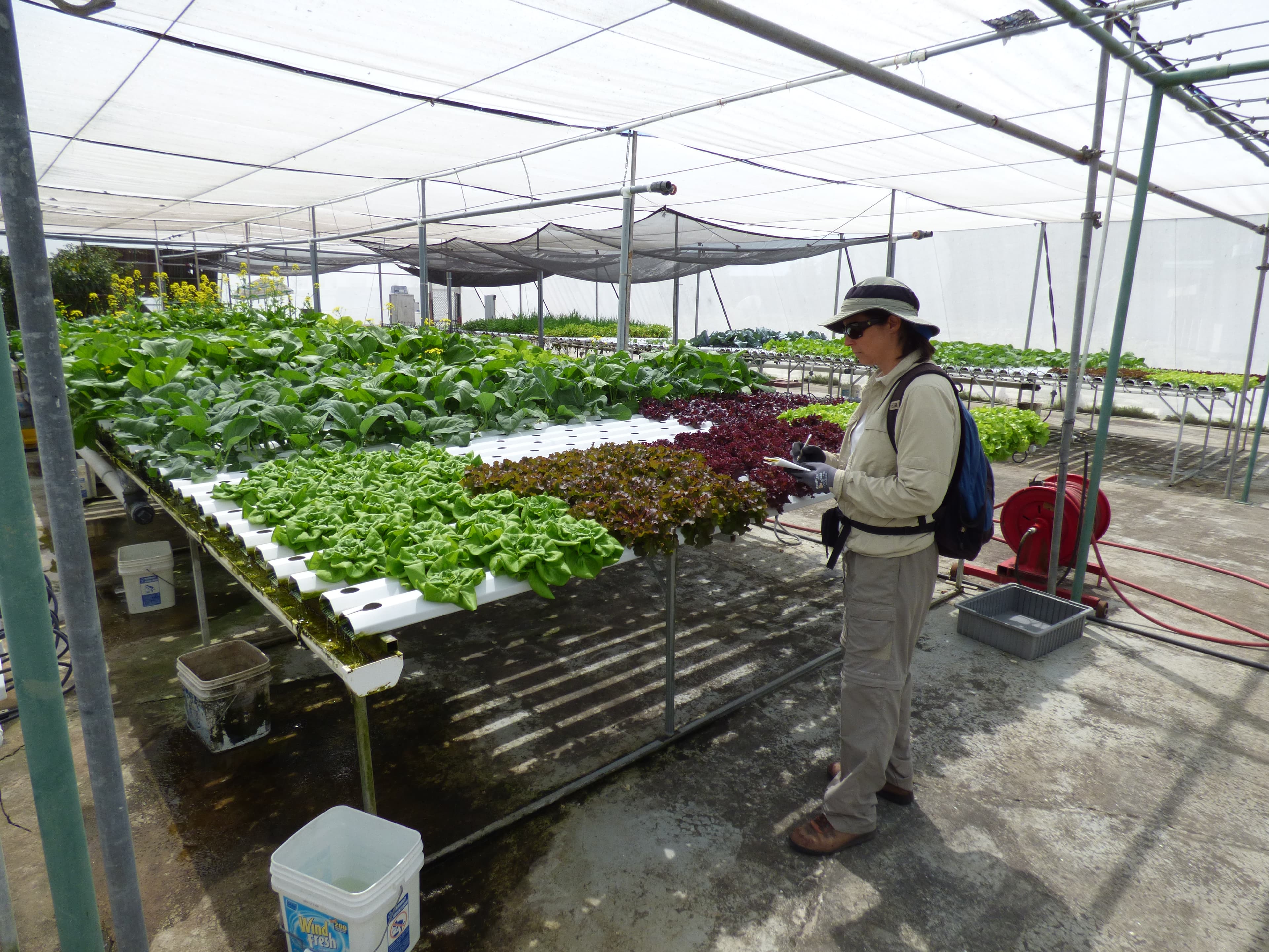 Indoor & Vertical Farming